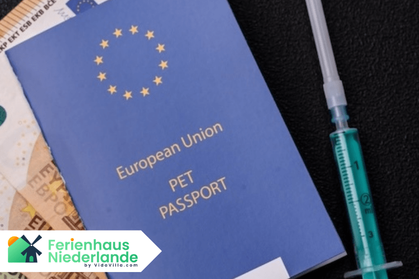 Einreise in die Niederlande mit Hund: Regeln und Dokumente